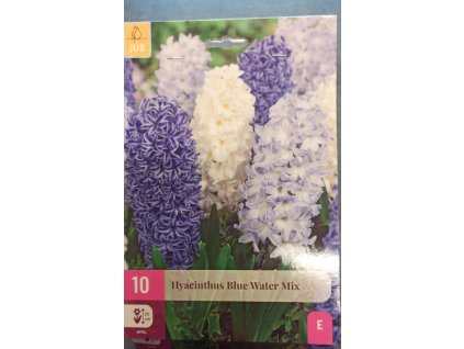 Hyacint -Blue Water mix 10 ks