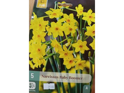 Narcis - Baby Boomer