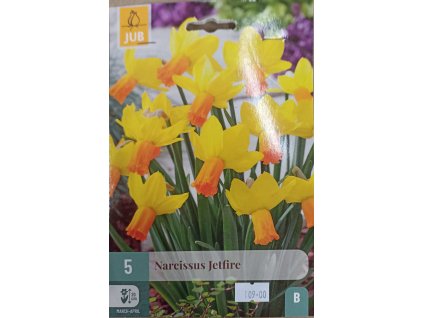 Narcis - Jetfire