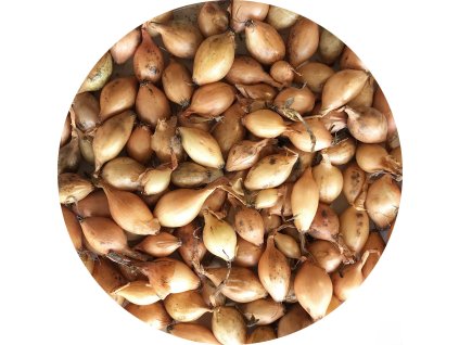 4468148e 1ca8 4908 bab7 fa3d8c0e4518