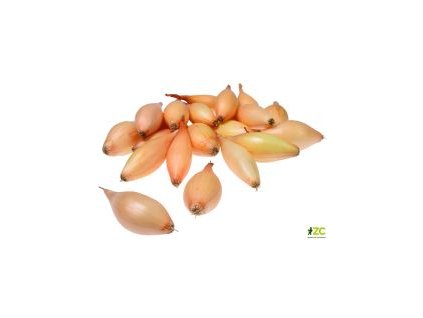 90fa35c2 6704 4a0e 890a b074429a173b