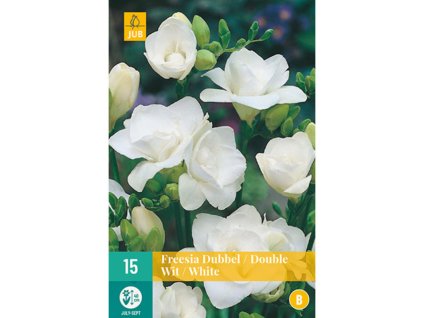 freesia dubbel wit 15 cibuli