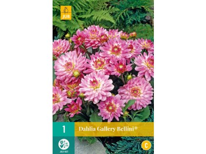 pi400 66 851254 ffbf697e 1326 4340 a2d9 5f20b27dfa3fjpeg 1 1 127168