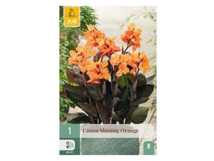 43413 dosna shining orange 1 ks