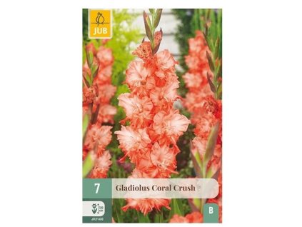 44982 mecik coral crush 7 ks