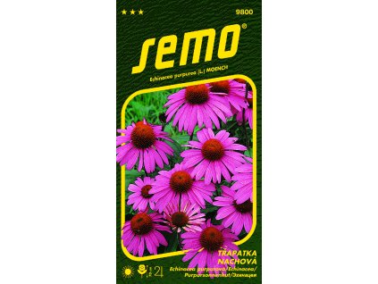 9800 třapatka PURPUROVÁ