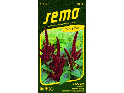 9045 laskavec PYGMY TORCH