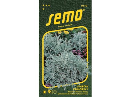 9170 starček SILVERDUST