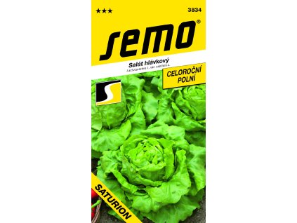 3834 N1714317 saturion VS