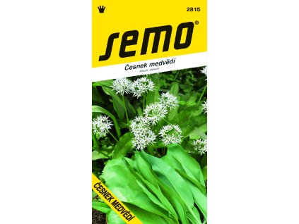 2815 česnek medvědí