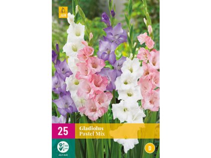 mecik gladiolus pastel mix 25 cibuli