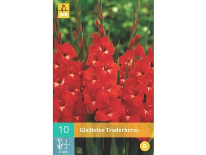 mecik traderhorn 10 cibuli