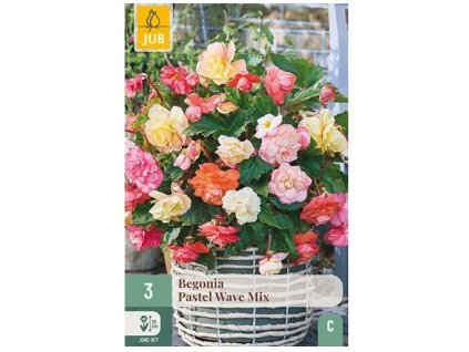 43770 begonie pastel wave mix 3 ks