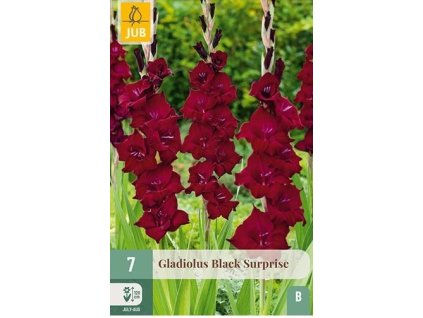 44955 mecik black surprise 7 ks