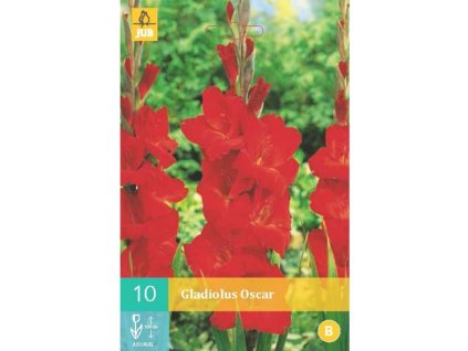 mecik oscar 10 cibuli