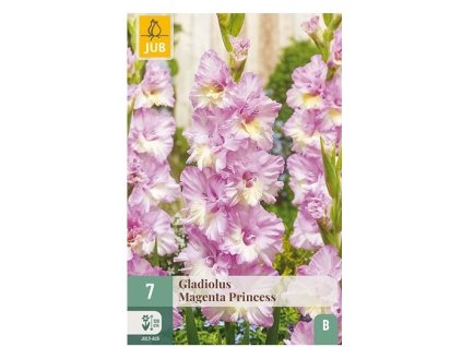 45006 mecik magenta princess 7 ks