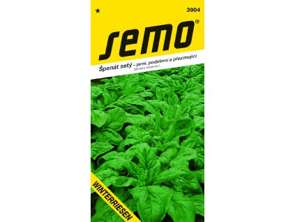 3904 špěnát WINTERRIESEN