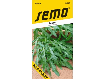 3613 roketa WILD ROCKET