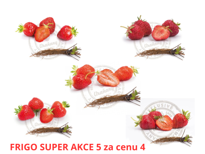FRIGO SUPER AKCE 5 za cenu 4 (1)