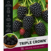 triple crown