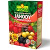 928 008401 FLORIA OM hnojivo pro drobne ovoce 2,5 kg P 8594005002586