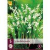 hlizy konvalinky convallaria majalis 5 kusu