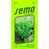 5911 ŘECKÉ OREGANO