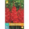 mecik traderhorn 10 cibuli