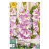 45006 mecik magenta princess 7 ks
