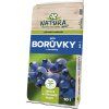 borůvky1