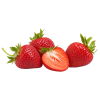 verdi