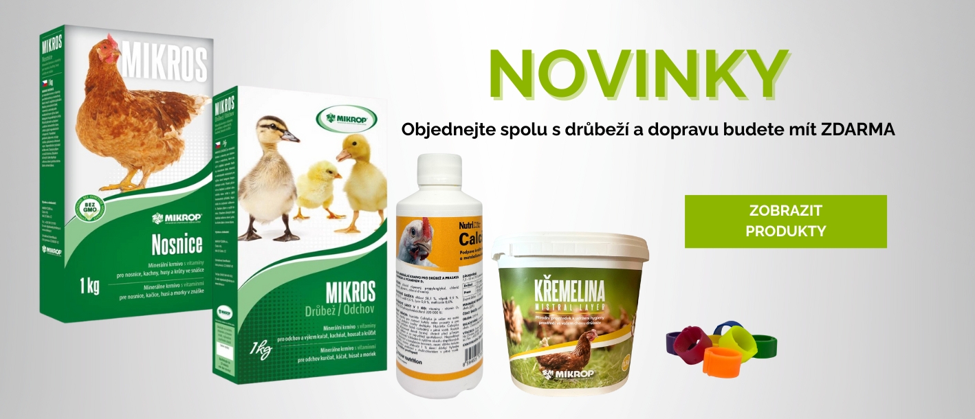 NOVINKY