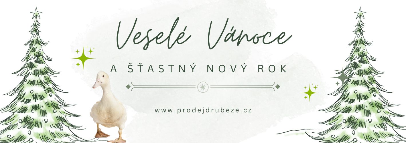 Přání k Vánocům