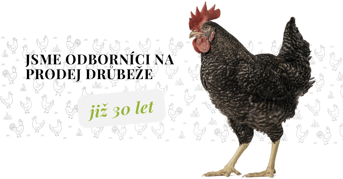 Proč nakoupit u nás