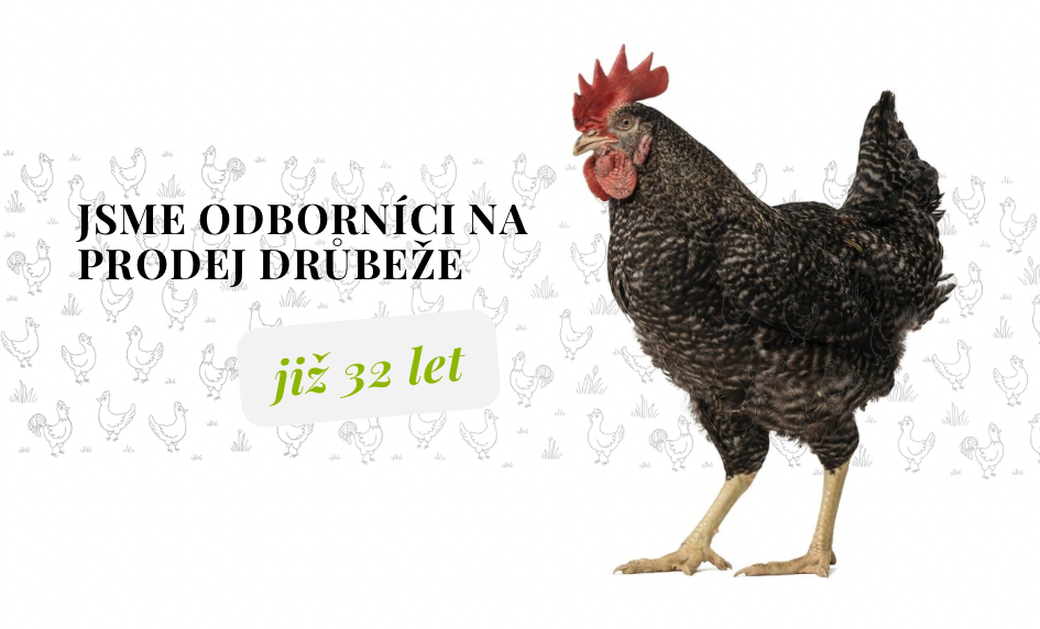 Proč nakoupit u nás