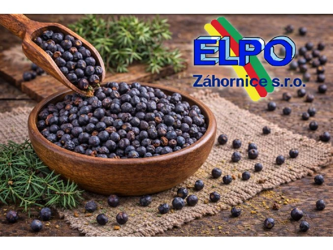 ChatGPT Image 24. 2. 2026 01 20 23