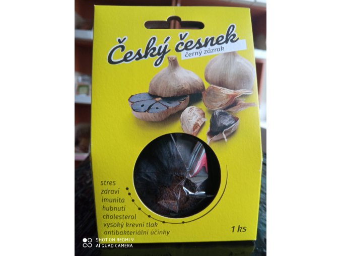 česnek
