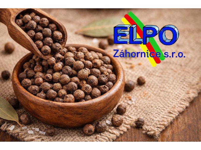 ChatGPT Image 23. 2. 2026 21 12 52