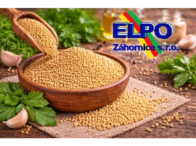 ChatGPT Image 12. 3. 2026 23 27 07