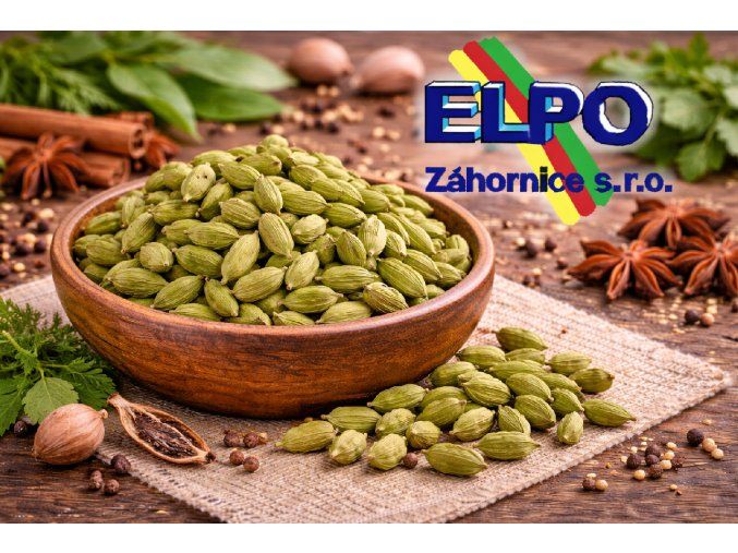 ChatGPT Image 13. 3. 2026 00 01 15