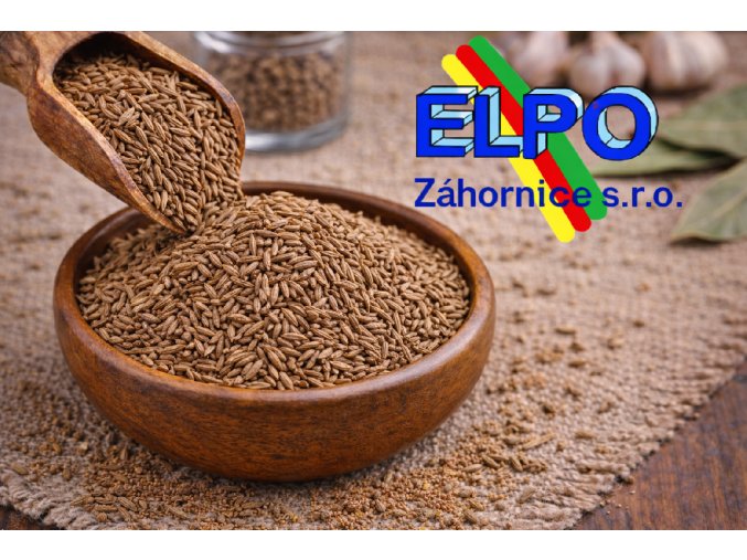 ChatGPT Image 23. 2. 2026 23 19 34