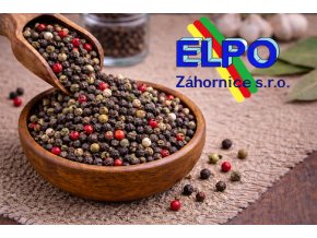 ChatGPT Image 23. 2. 2026 23 53 28