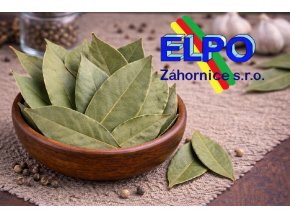 ChatGPT Image 24. 2. 2026 00 23 47