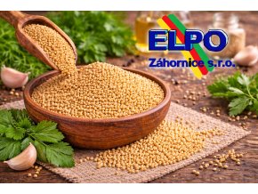 ChatGPT Image 12. 3. 2026 23 27 07