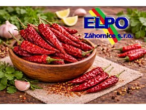 ChatGPT Image 12. 3. 2026 23 52 46