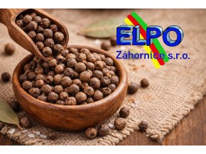 ChatGPT Image 23. 2. 2026 21 12 52