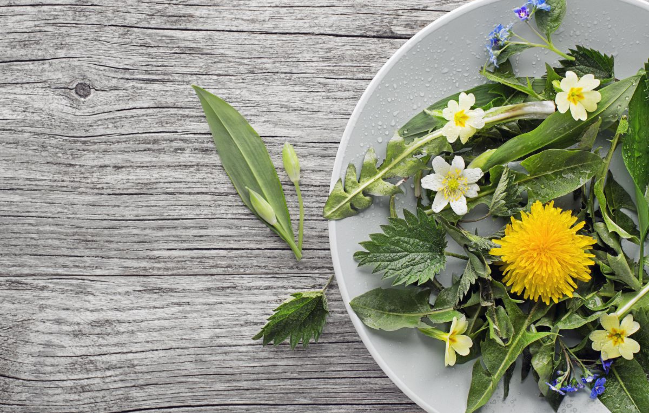 V březnu podpořme žlučník