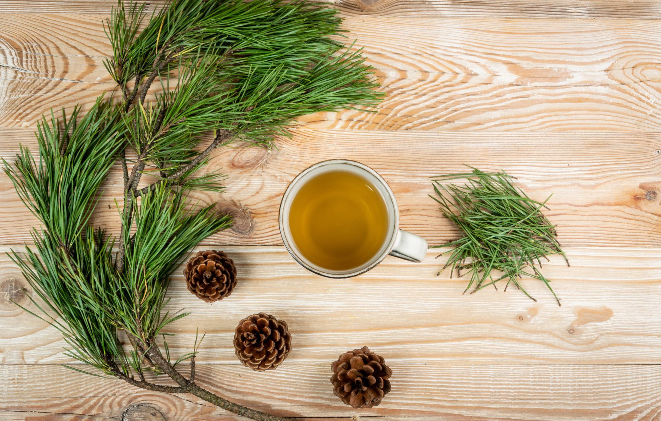 V únoru posilujeme ledviny