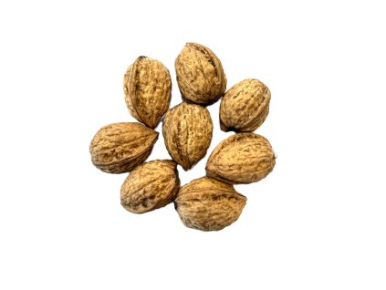 vlašské skořápka