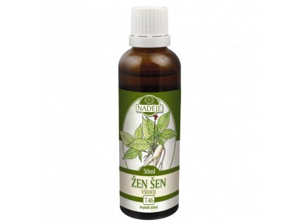zen sen vsehoj